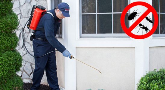 Çiçekdağı Dezenfeksiyon böcek ilaçlama ve haşere kontrolü — ilaclama-tr.com